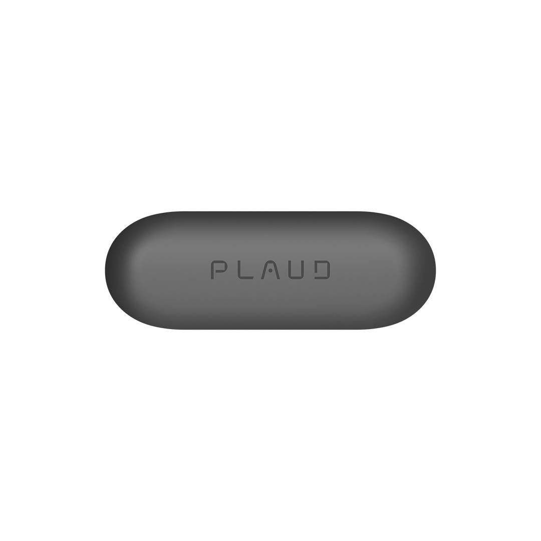 Spilla magnetica Plaud NotePin